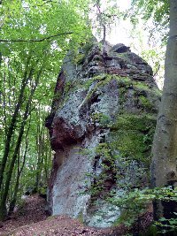  Birkelfels - Vorgipfel 