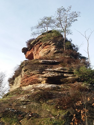   Südseite