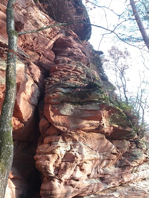   Südseite