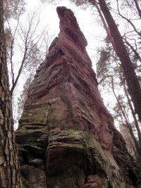  Ilexturm 