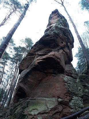  Hauensteiner Turm 