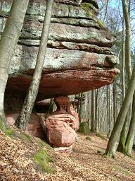  Hohle Felsen - Pilz 