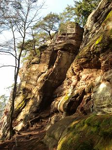   Südseite (Vorgipfel u. Grat)