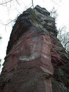   Vorbau