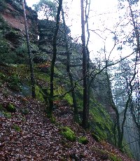  Östlicher Bergerfels 