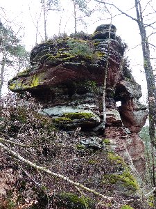  Dickenbergtürmchen 