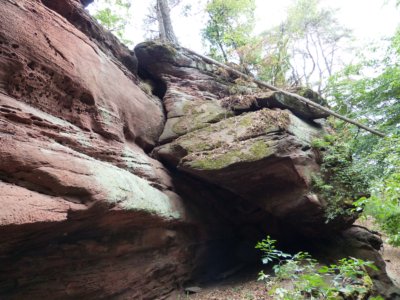  Dimberg - Nordgratfels 
