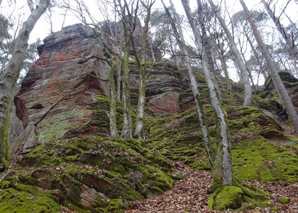   Vorbau u.  Ostseite