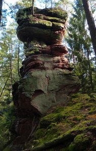  Dunkelskehlfels 