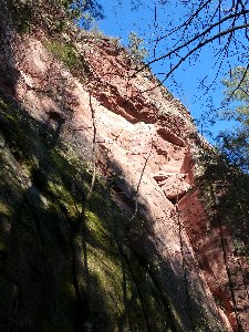   Südseite