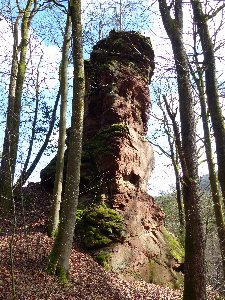  Florenbergtürmchen 