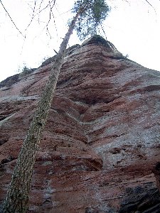   Nordostseite