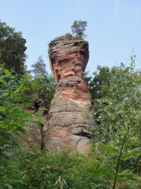  Hauensteiner Puppe 