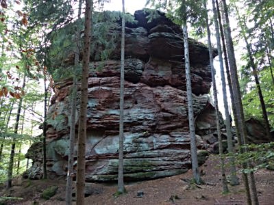  Hirschfels 
