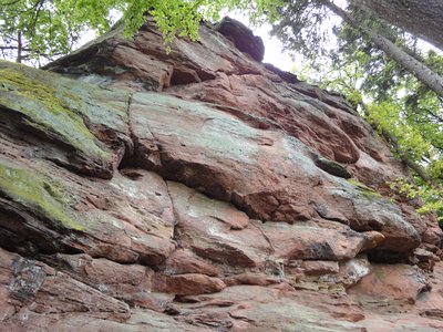  Kiefernfels 