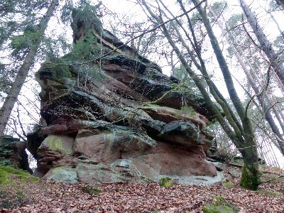  Eußerthaler Krappenfels - Westgipfel 