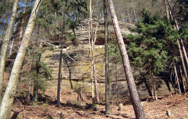  Kuhplatte 