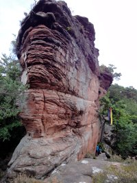  Nedingfels 