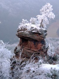  Runder Hut 