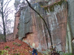  Steinbruch Wachenheim 